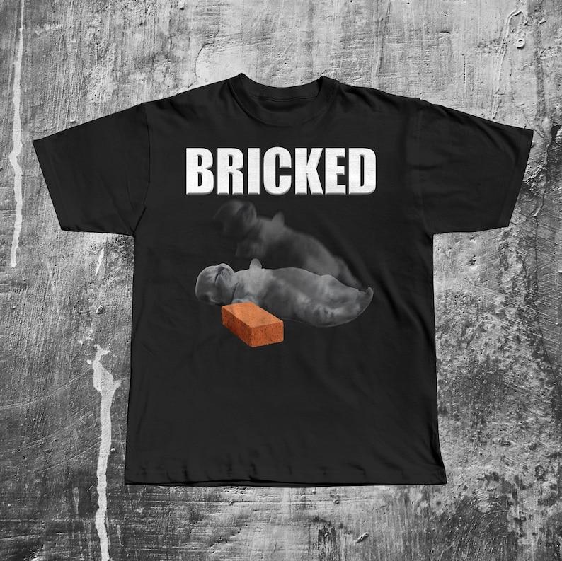 Bricked Funny Cat Knocked Out TShirt Cat Meme Shirt Brainrot Tee Silly Cats Tshirt Unhinged Clothes Shirts That Go Hard