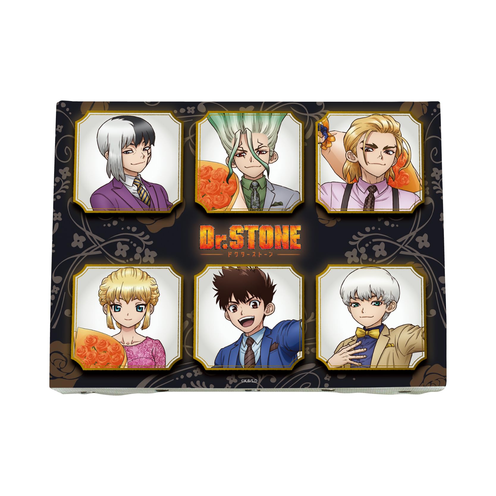 

Dr.STONE 01 5-я юбилейная версия. Дизайн панели [Оригинальная иллюстрация] Холст