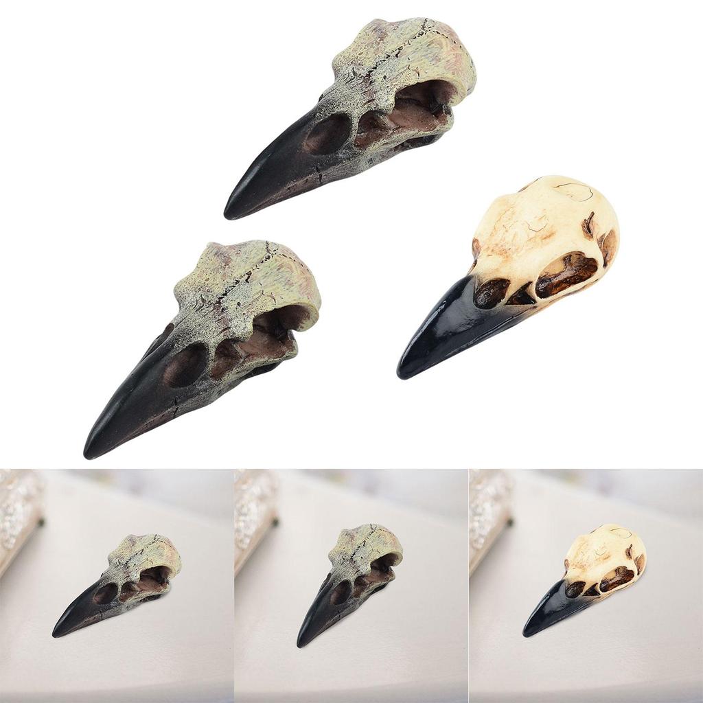 Halloween Raven Skull Decor Halloween Decor for Party Window Sill Home
