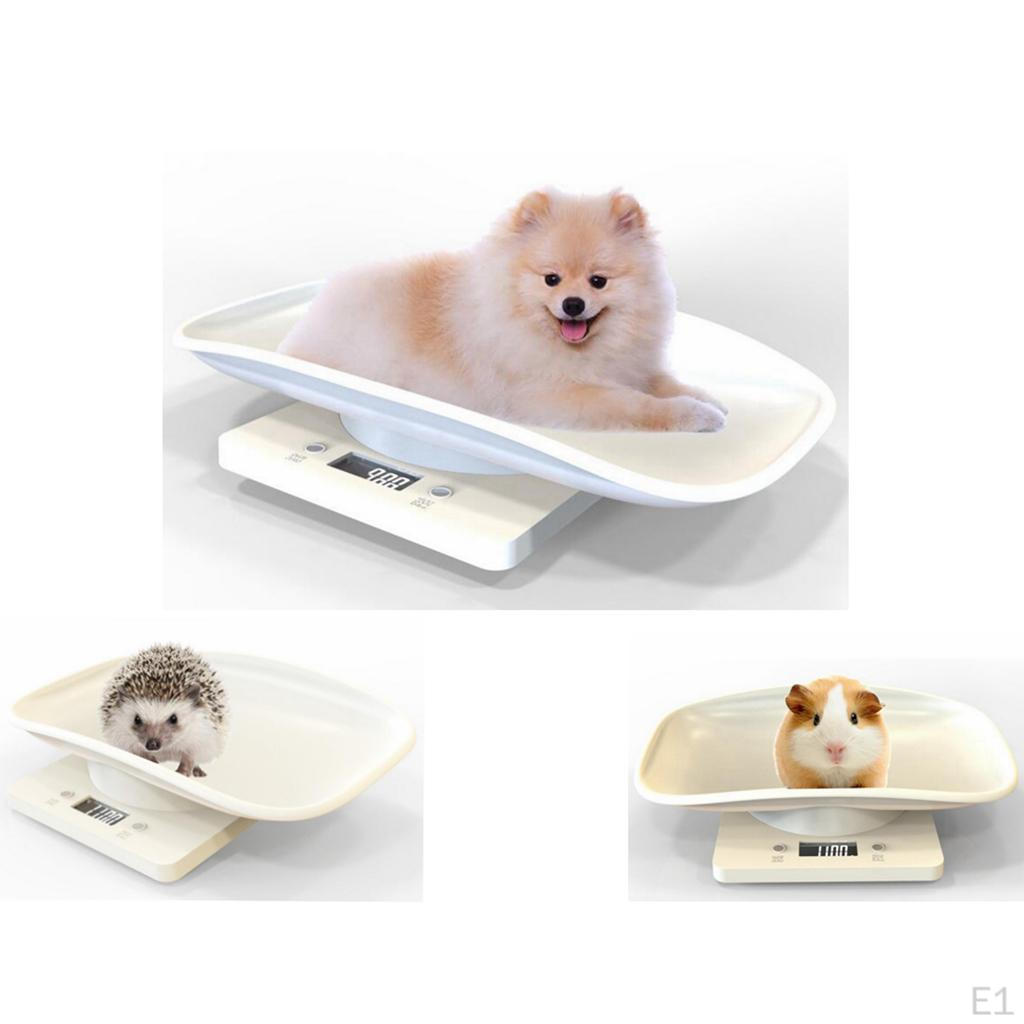 Multi-Functional Digital Measure Weight for Small Pets