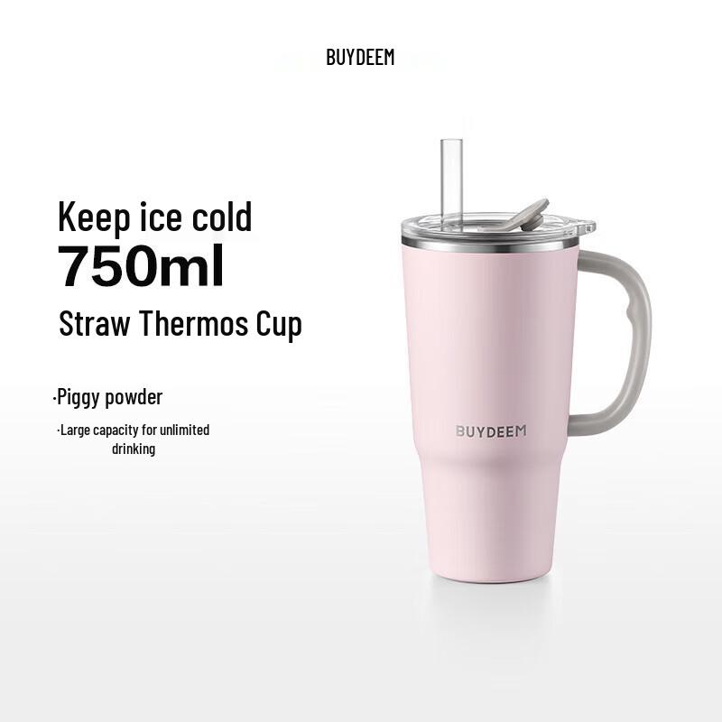Beiding DS57 Jumbo Insulated Straw Mug