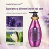 Fenghua Charming Repair Hair Essence Oil 500ml