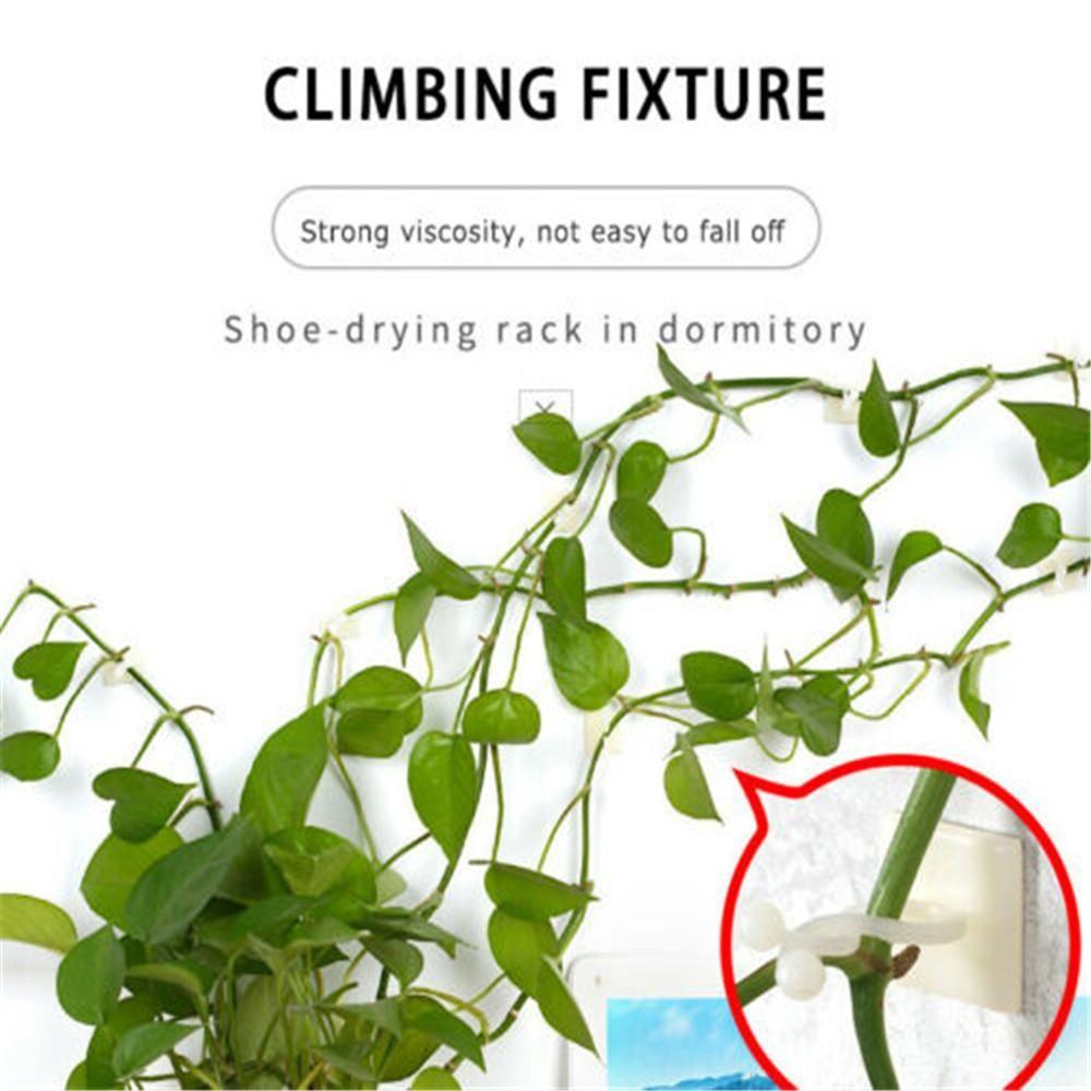 10PCS Plastic Greenhouse Bracket Climbing Plant Clip Wall Vines Rattan Clamp Wall Sticky Hook