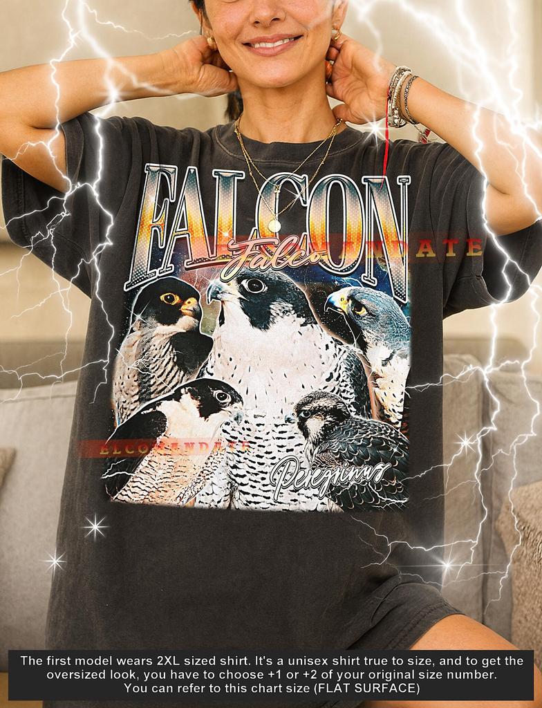 Falcon Falco T-Shirt, Vintage Animal Lovers Majestic Bird Of Prey Nature Tee, 90s Retro Throwback, Falcon Falco Peregrinus Sweater