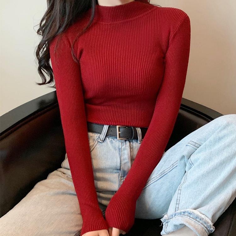 Turtleneck Sweater Women Pullovers Knitted Soft Jumpers Basic Solid Soft Sweaters Women Autumn Winter Casual Top
