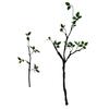 Fake Plants Stems Realistic Artificial Greenery Plant Stem Faux Bendable Branches with Leaves for Vase Filler Home Office Dining Table Decor