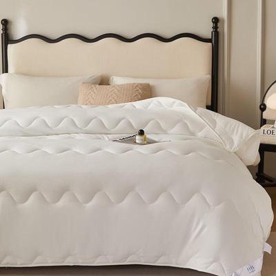FIRS Polyester Fiber Winter Quilt