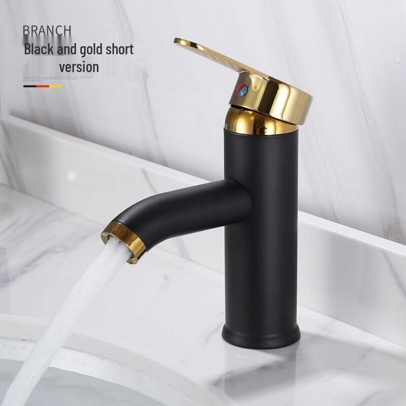TLXT Black Stainless Steel Basin Faucet