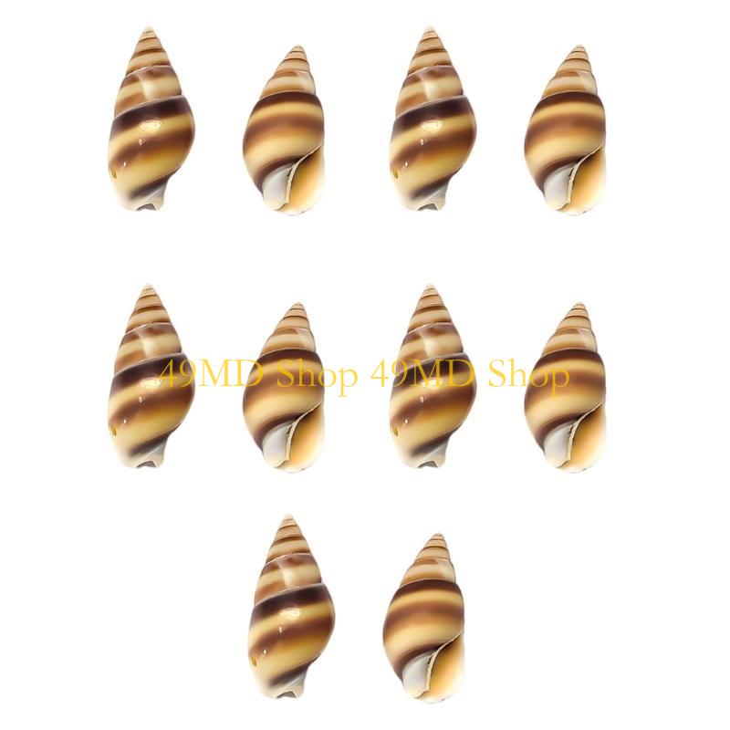 

49MD 10Pieces Unique Shell Fastener Buttons For Creative Clothing And Home Decoration