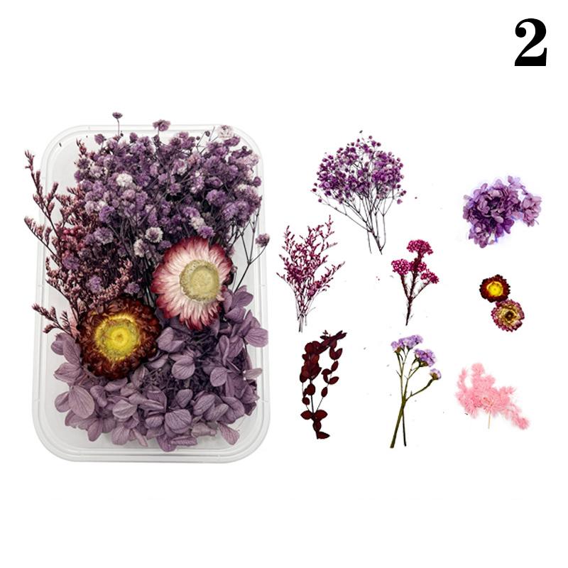 

1 коробка искусственные растения натуральные настоящие сухоцветы для свечей формы эпоксидная смола изготовление своими руками украшения аксессуары для дома ремесла as the picture