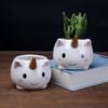 Creative Hand-Painted Cartoon Succulent Flower Pot Ceramic Personalized Animal White Porcelain Flower Pot Desktop Green Plant Succulent Pot