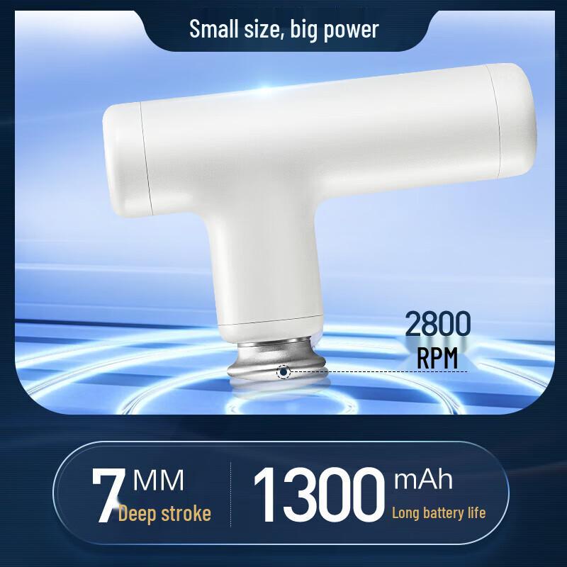 ROTAI G10 Mini Fascia Gun