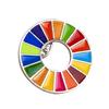 Personalized United Nations SDGs Brooch The Sustainable Development Goals Rainbow Pin Scarf Pins Jewelry Gift for Unisex