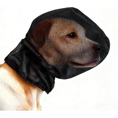 Abbigliamento e scarpe – Accessori per cani