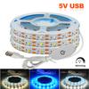 Touch Dimmerable DC 5V USB Led Strip White/Warm White/Blue 50CM 1M 2M 4M 5M Home Decor TV Backlight Flexible Ribbon Tape