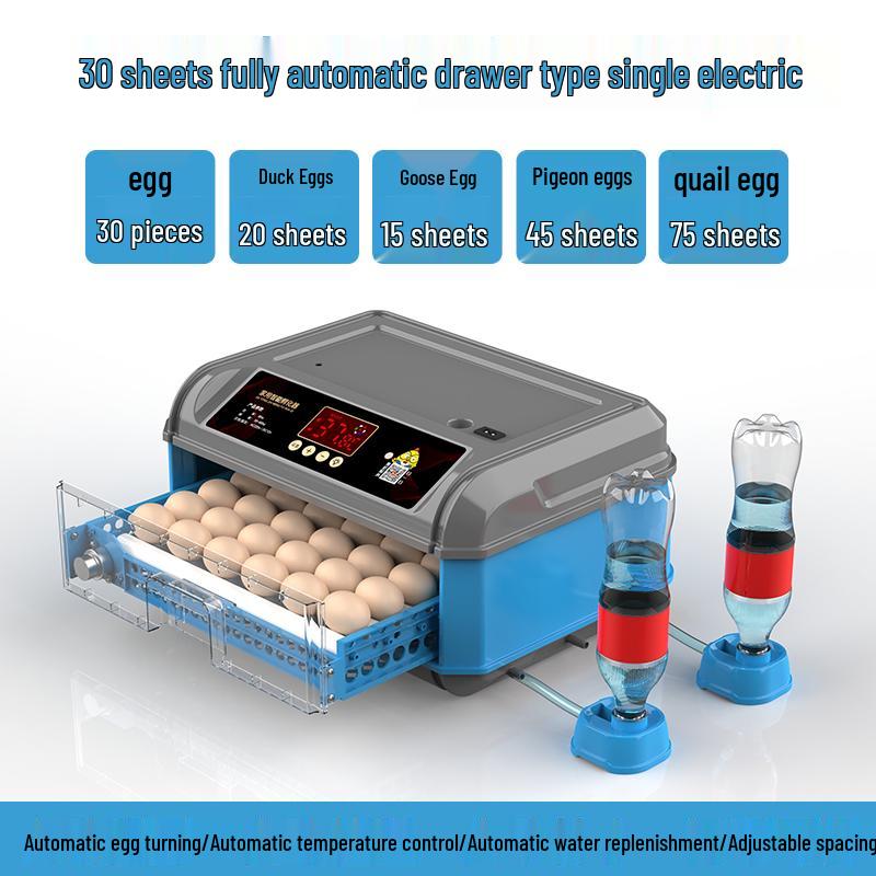 Luding Smart Automatic Egg Incubator for Small Eggs - Compact Household Model