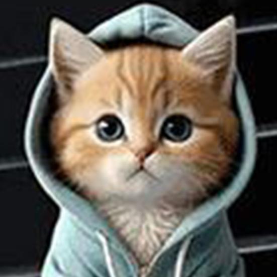 Cute Kitten Clips de aerisire pentru mașină Difuzor reîncărcat pentru mașină