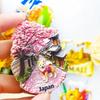 Japan Fridge Magnets Message Board Decorative Asia Travel Souvenir Tokyo Mount Fuji Refrigerator Sticker Home Decor Gifts