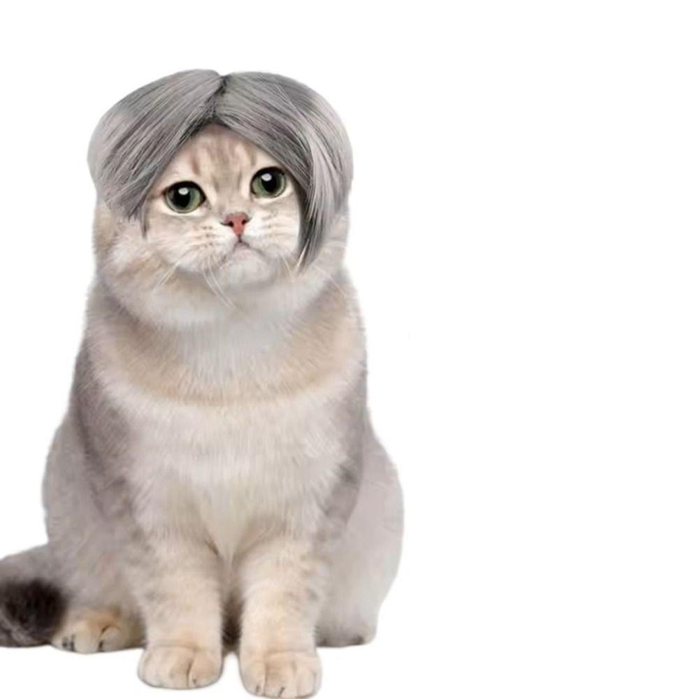 Elastic Band Design Pet Wig Pet Cross-Dressing Hair  Pet Cosplay Props Photography Prank Gifts
