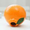 Orange Fruit Shaped Flower Vase Propagation Plastic Vase Desktop Art Vase Tabletop Decoration Bunch Centerpieces Home Decoration