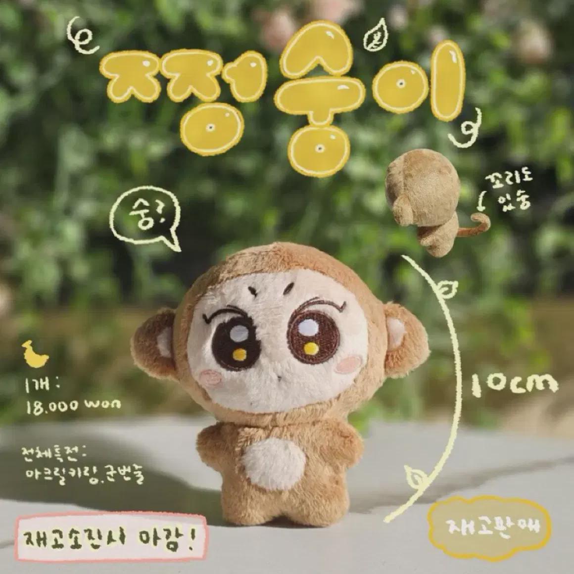 

ENHYPEN Кукла Jungwon, 10 см, Цзэн Сун