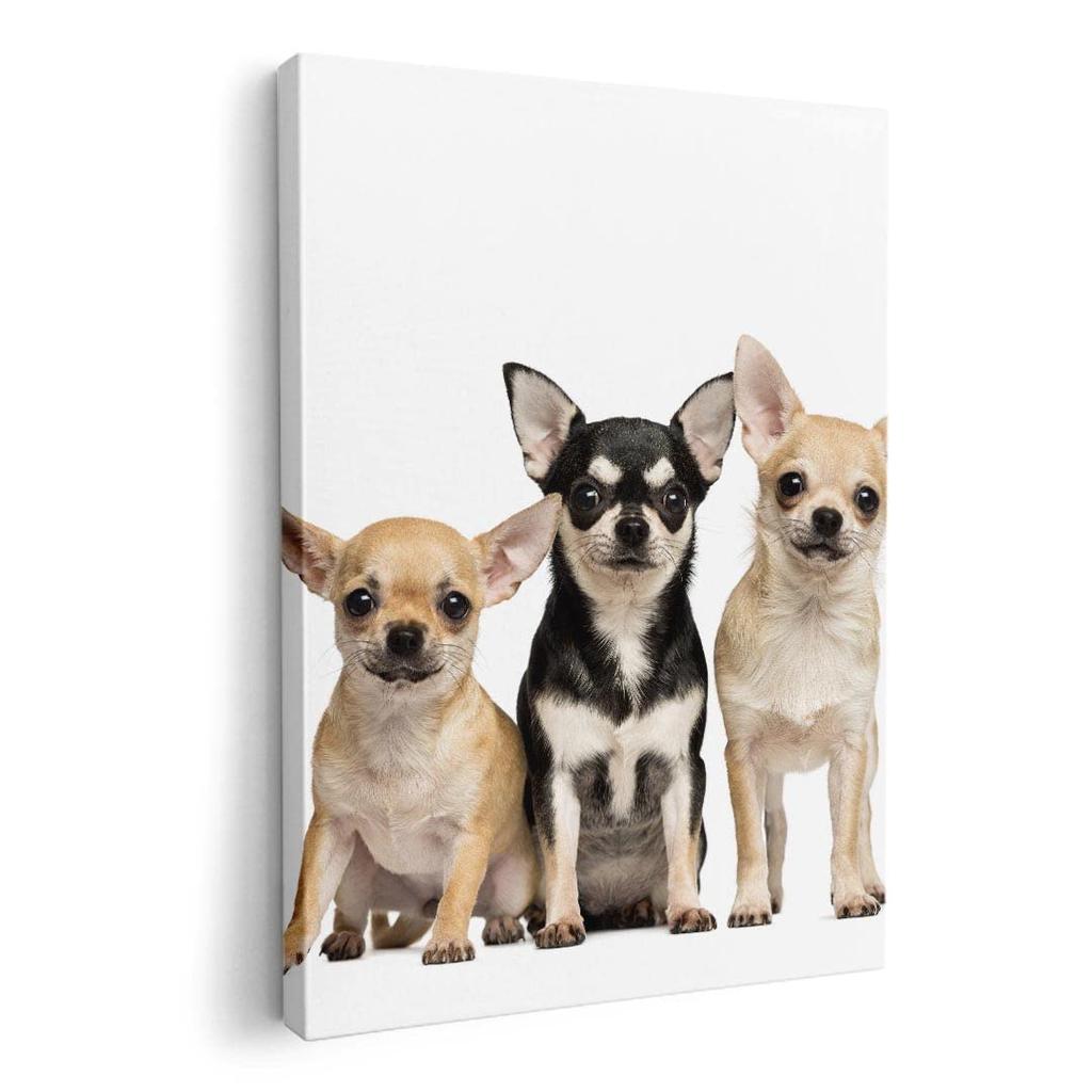 Art 420mm x Wall Wooden Stylish Interior Animal Photo Panel, Painting, Decoration, igsticker, 297mm, A3, Photo, Hanging, Frame, Decor, 002885, Animal,