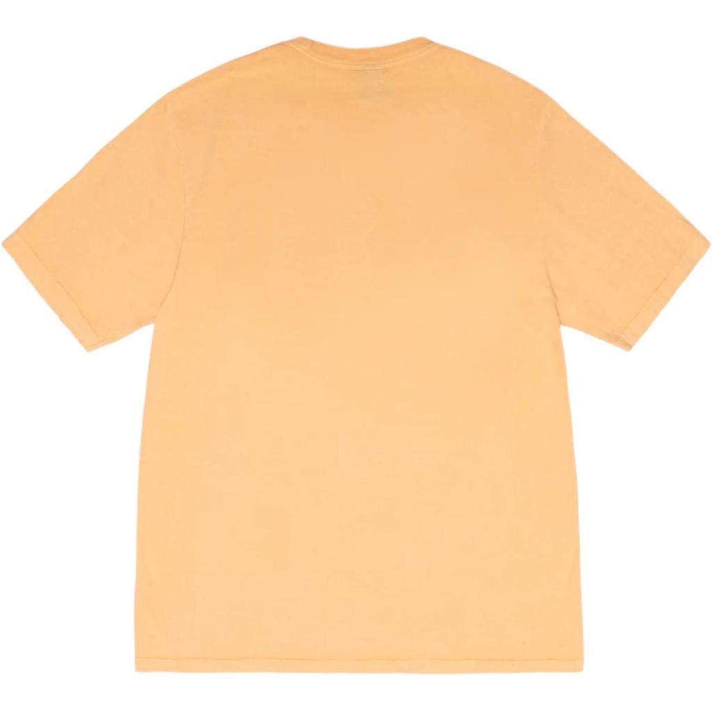 Stussy x OUR LEGACY FW24 WORK SHOP COLLEGIATE TEE PIGMENT DYED logoT Unisex 3903958