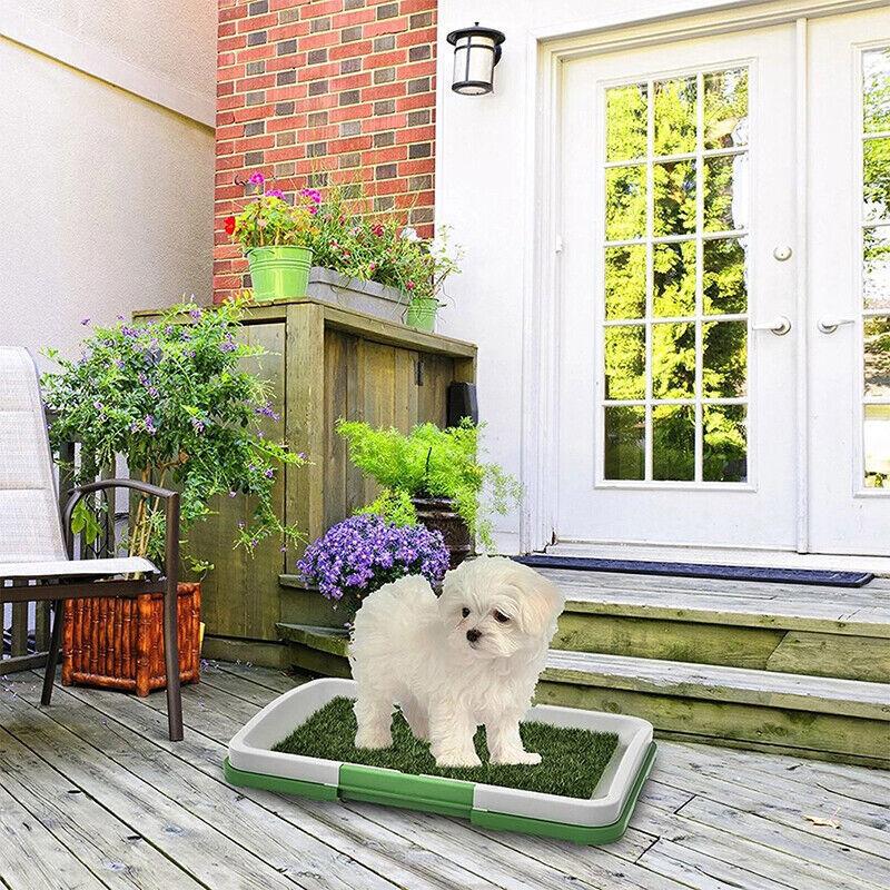 AP52 DOG LITTERS MAT WITH GRASS FOR PUPPIES