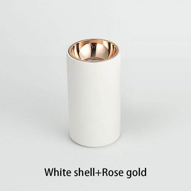 Dimmable LED Ceiling lights Cylinder Livingroom Kitchen Bedroom Foyer Offcer Rose Gold 5W 10W 15W 20W Ceiling lamp