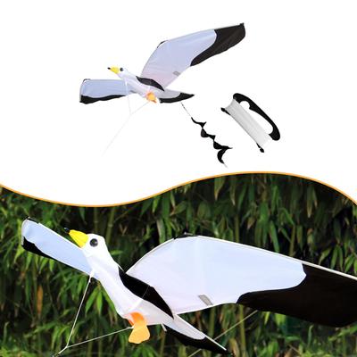 Su sporları – Uçurtmalar