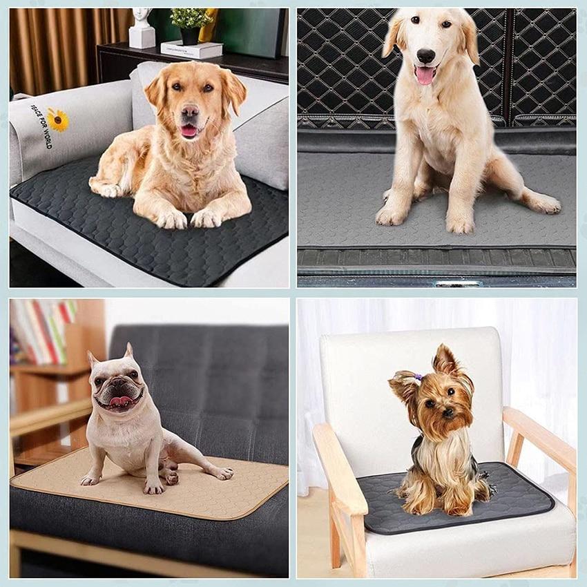 Dog Training Pad Washable Pet Pee Mat Super Absorbent Non-Slip Puppy Crate Mat Reusable Incontinence Pads for Dogs Cats Rabbit