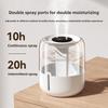 Large Capacity Usb Humidifier With Ionizer And Quiet Operation For Dormitory And Living Room