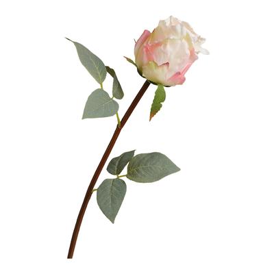 Zijden Kunstmatige Roos Enkele Steel Bloem met Draadsteel voor Huisdecoratie Bruiloft Fotografie Prop Realistisch en Zacht Gevoel