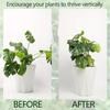 Sturdy Monstera Support System - Metal Climbing Plant Trainer Safe and Aesthetic Garden Structure | Climbing Plant Stand