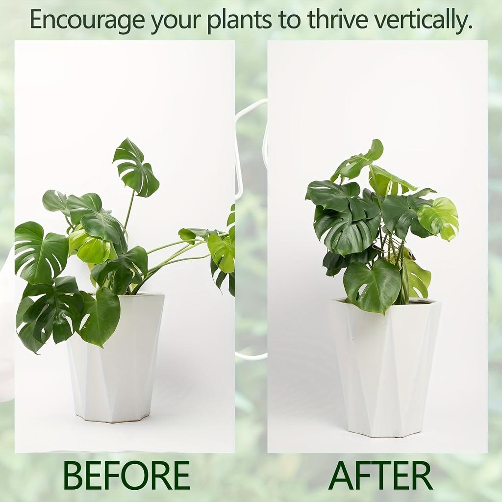 Sturdy Monstera Support System - Metal Climbing Plant Trainer Safe and Aesthetic Garden Structure | Climbing Plant Stand