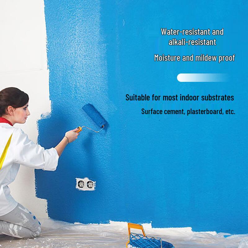BORUIRISHEN Eco-Friendly Washable Interior Emulsion Paint