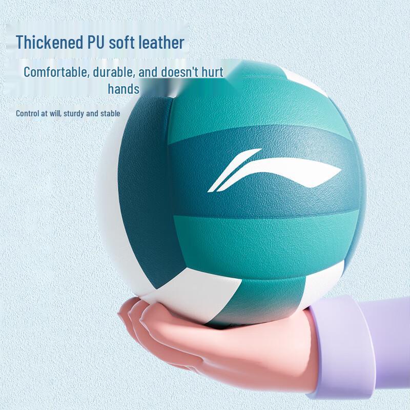 Li-Ning Standard Size 5 Training Volleyball