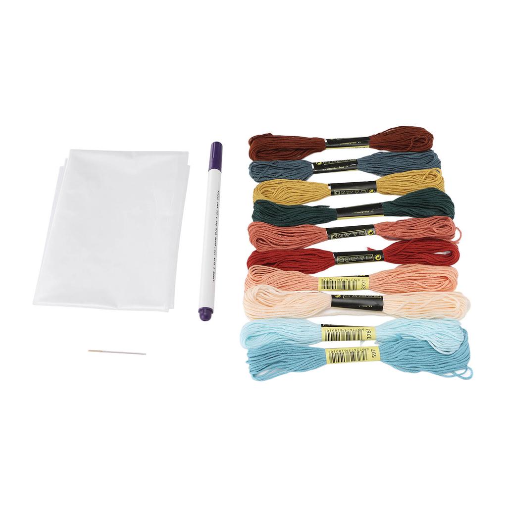 Embroidery Floss Kits 10 Bright Colors Good Toughness Easily Use Embroidery Thread for Bracelets Tassels DIY