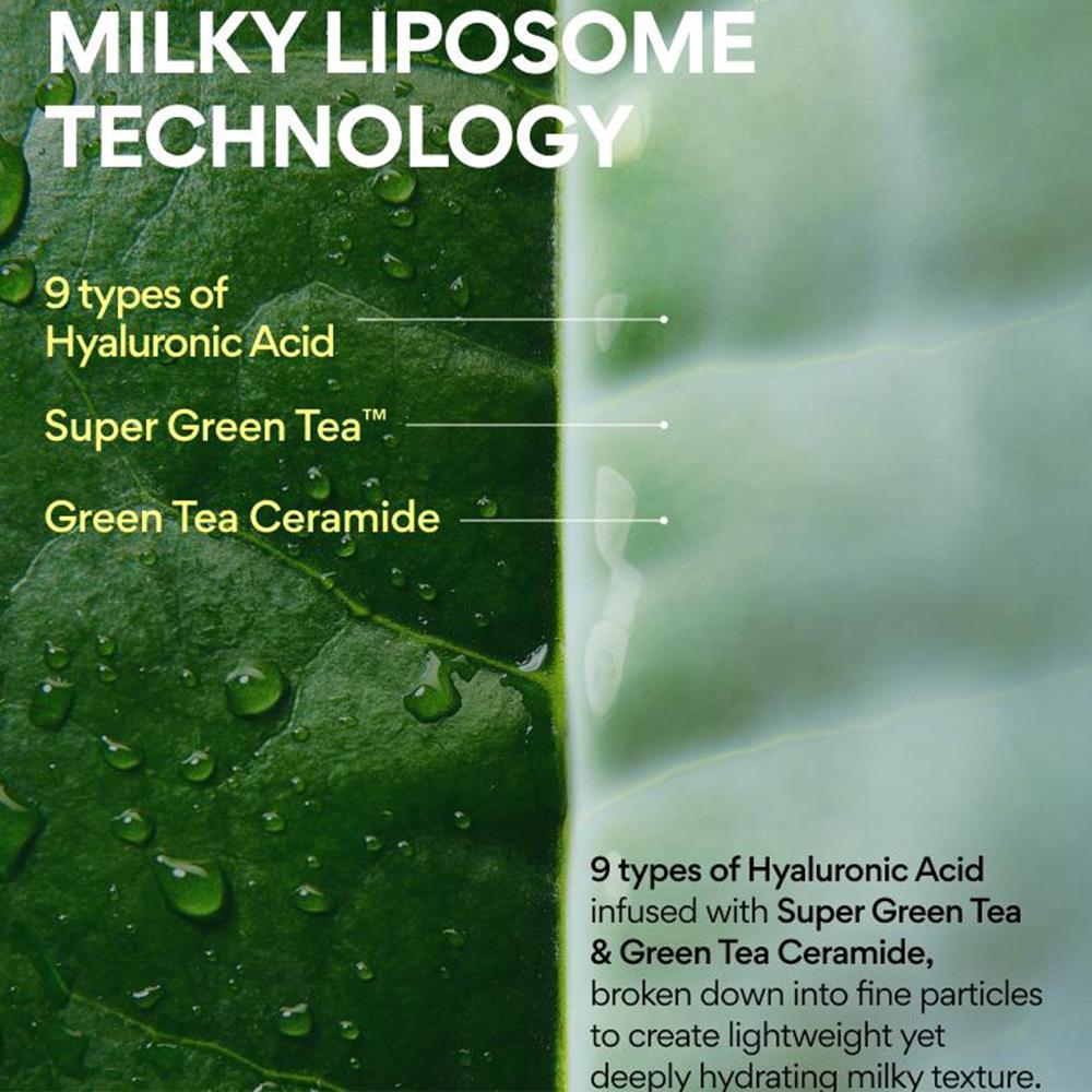 Innisfree Green Tea Ceramide Milk Essence 160ml