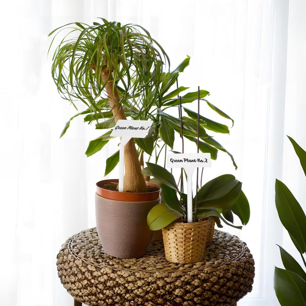 Lurrose Ogrodnictwo Roślina Ogrodnictwo 35 Plastikowa Roślina Bonsai Pisz Wymaż Łatwe do Narzędzia Florystyczne Etykiety, Etykiety, Etykiety, Sztuki, W Kształcie T, Materiał,