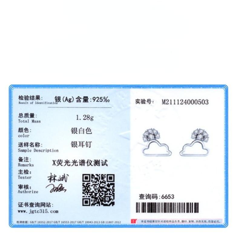 Tancise 925 Sterling Silber Zirkon Ohrringe Tropfen Ohrringe für Frauen Hochzeit Party Geschenke