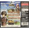 Dragon Quest IX: Guardian of the Starry Sky