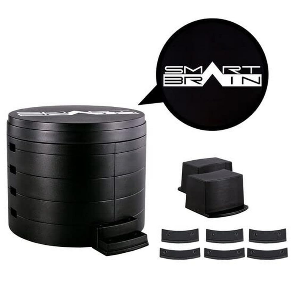 Bandai Toy Division Kamen Rider Faiz Kamen Rider Faiz Display Dyza Smart Brain Edition Complete Selection Modification (CSM)