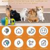 Jouet Interactif pour Chien - Distributeur de Friandises et Croquettes, Jeux Intelligence, Occupation, Boule de JOUET A FRIANDISE