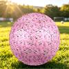 Size 5 FootballCourage the Cowardly Dog Durable PU Soccer Ball for Sports Training Outdoor Competition