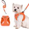 1PC Walk-in Dog Chest Strap and Leash Set, All-weather Breathable Mesh, Reflective, Soft and Lightweight Pet Vest