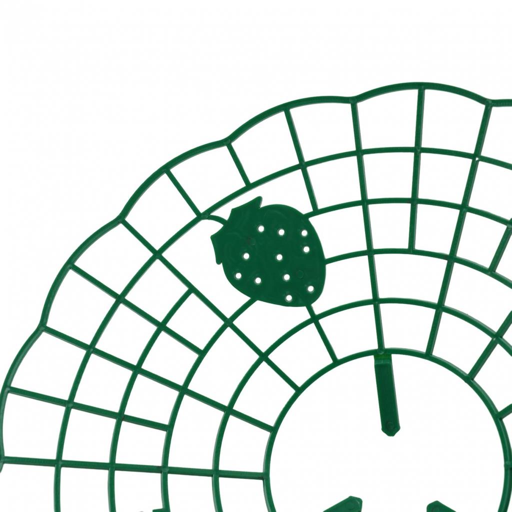 Accessories Strawberry Holders Care Tool Green Soft