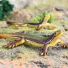 Montessori Reptile Educational Toy: Realistic Monitor Lizard Model Ornament
