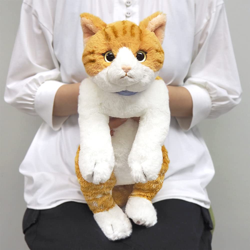 Sunlemon Lap Cat Chashiro Medium 47 x 16 x 18cm Plush Animal P-7802
