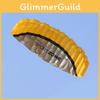 Fashionable 2.5m Dual Line Parafoil Parachute Stunt Kite Exciting For All Ages Outdoors